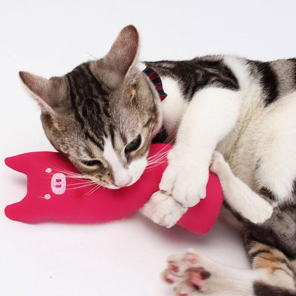 cat toys 1 pc catnip interactive pet toy for kitten cute scratcher chewing thumb teeth grinding supplies
cat toys 1 pc catnip interactive pet toy for kitten cute scratcher chewing thumb teeth grinding supplies