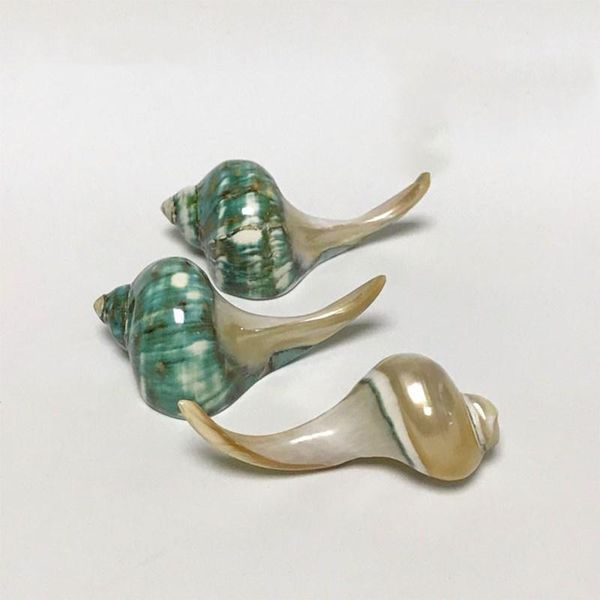 chopsticks 1pc holder conch white green shell natural kitchen utensil dinnerware moonlight snail gift home southeast asian craft
chopsticks 1pc holder conch white green shell natural kitchen utensil dinnerware moonlight snail gift home southeast asian craft