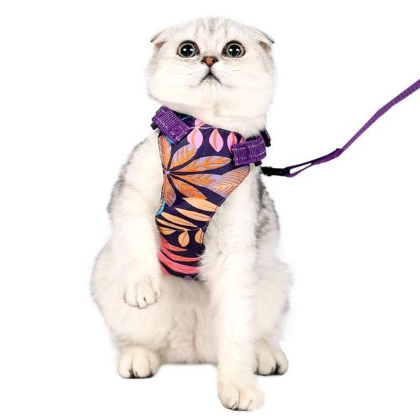 cat collars & leads reflective harness vest with traction rope double disc anti-strike hawaiian style
cat collars & leads reflective harness vest with traction rope double disc anti-strike hawaiian style