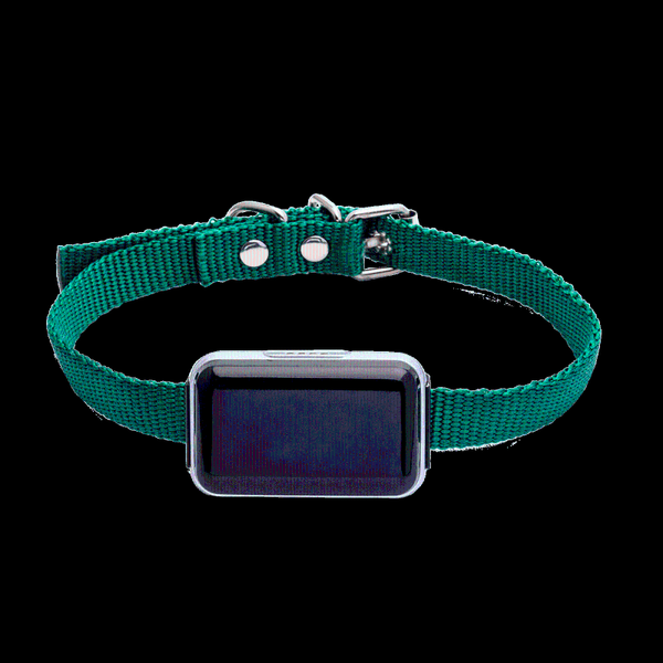 car gps & accessories 2021 smart waterproof ip67 mini pet agps lbs tracker for dog cat positioning track device app
car gps & accessories 2021 smart waterproof ip67 mini pet agps lbs tracker for dog cat positioning track device app