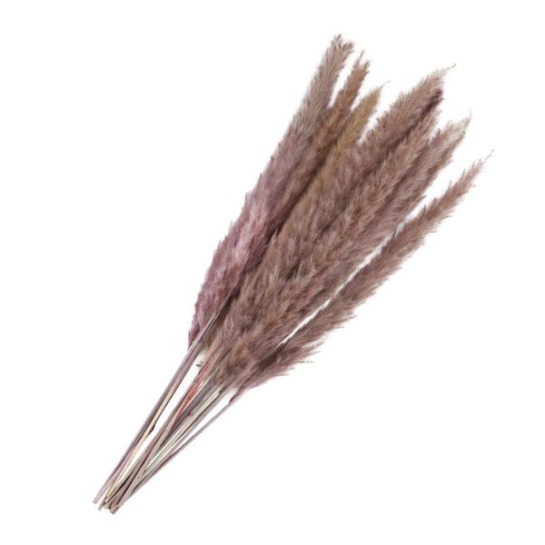 15pcs natural dried flowers reed bouquets flower decor arrangement decorative & wreaths
15pcs natural dried flowers reed bouquets flower decor arrangement decorative & wreaths