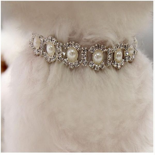 dog apparel water diamond pearl necklace jewelry pet accessories have two styles are available good quality
dog apparel water diamond pearl necklace jewelry pet accessories have two styles are available good quality