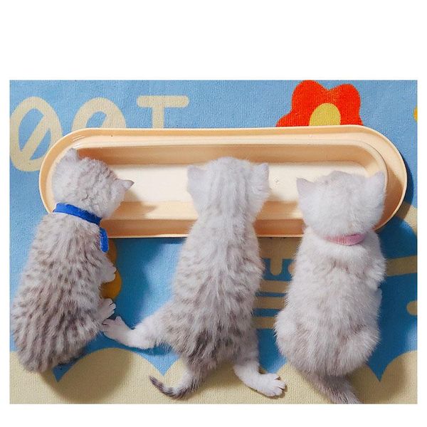 cat bowls & feeders non-slip long bowl dog with stand pet feeding water for cats dogs feeder product supplies
cat bowls & feeders non-slip long bowl dog with stand pet feeding water for cats dogs feeder product supplies