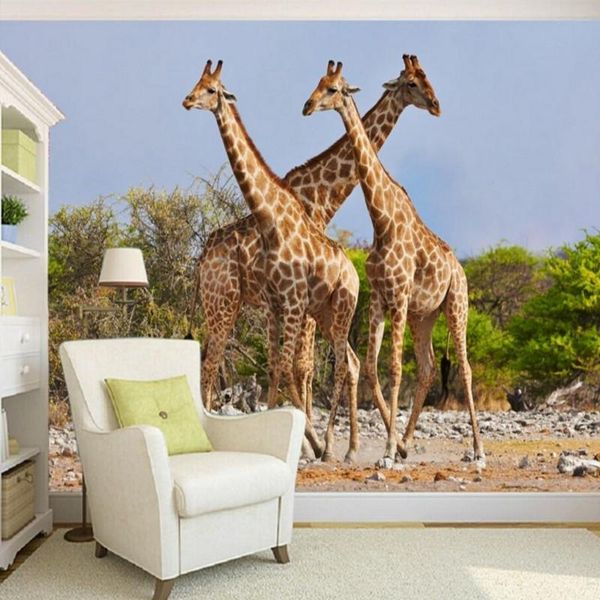 wallpapers drop po wallpaper beautiful hd three african giraffe tv backdrop living room lobby mural
wallpapers drop po wallpaper beautiful hd three african giraffe tv backdrop living room lobby mural
