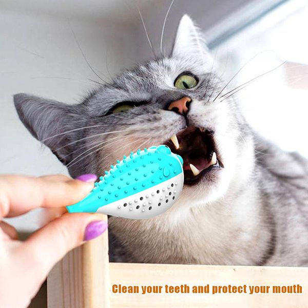 cat toys fish shape toothbrush refillable catnip simulation teeth clean pet chew toy nov99
cat toys fish shape toothbrush refillable catnip simulation teeth clean pet chew toy nov99