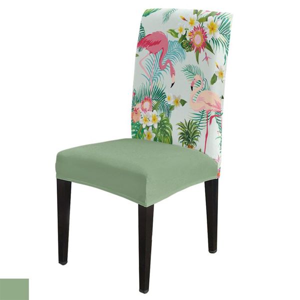 chair covers flamingo tropical plant flower dining room spandex elastic for wedding el banquet
chair covers flamingo tropical plant flower dining room spandex elastic for wedding el banquet