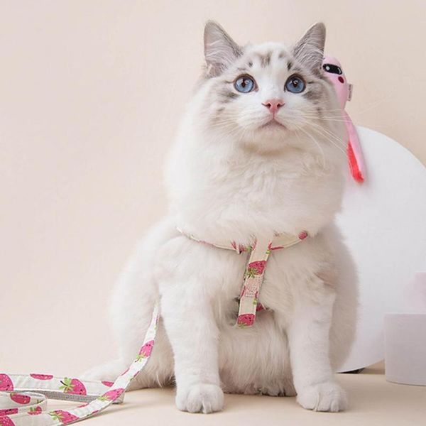 cat collars & leads dog/cat harness combo escape proof easy control accessory fruit pattern dog leash for outdoor
cat collars & leads dog/cat harness combo escape proof easy control accessory fruit pattern dog leash for outdoor