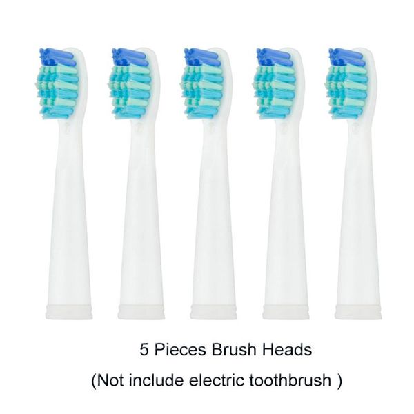 toothbrush seago sonic replacment tooth brush head electric heads comfortable soft bristle sg-507b/908/909/917/610/659/719/910
toothbrush seago sonic replacment tooth brush head electric heads comfortable soft bristle sg-507b/908/909/917/610/659/719/910