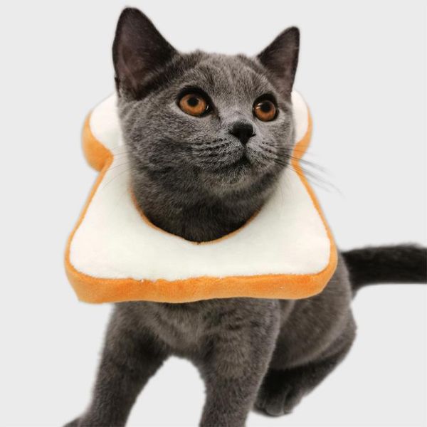 cat costumes pet kitten toasted bread head scarf, white collar cute trick headdress
cat costumes pet kitten toasted bread head scarf, white collar cute trick headdress