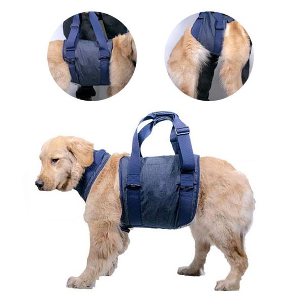 dog collars & leashes pet chest harness handledog walking portable chests harnesstravel outdoor supplies
dog collars & leashes pet chest harness handledog walking portable chests harnesstravel outdoor supplies