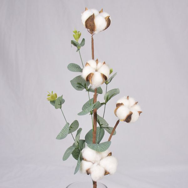 4bas per stem cotton fower dried cotton eucayptus naturay artificia fower picks natura cotton bas reed pampas burush
4bas per stem cotton fower dried cotton eucayptus naturay artificia fower picks natura cotton bas reed pampas burush