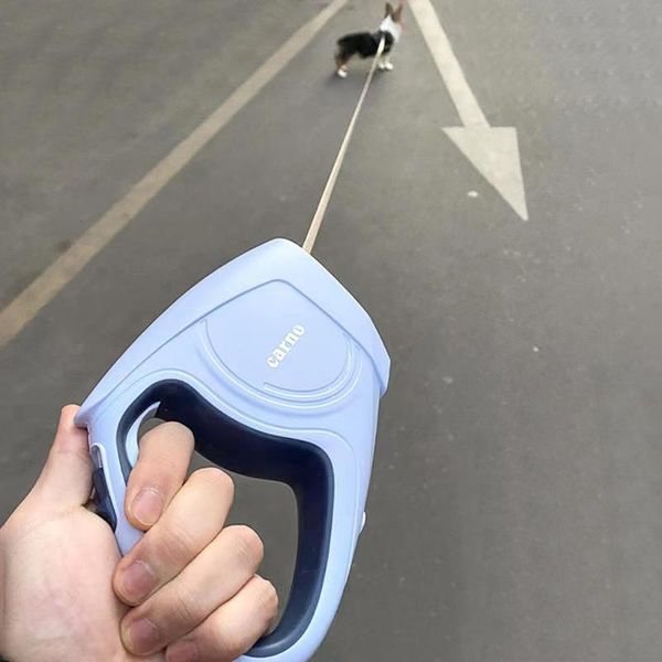 the pet dog leash automatic retractable safety 5 meters stretching harness hand holding rope dogs products collars & leashes
the pet dog leash automatic retractable safety 5 meters stretching harness hand holding rope dogs products collars & leashes