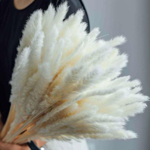 decorative flowers & wreaths 1-30pc dried small pampas grass pantas artificiales para decoracion wedding decoration real plants home decor r
decorative flowers & wreaths 1-30pc dried small pampas grass pantas artificiales para decoracion wedding decoration real plants home decor r
