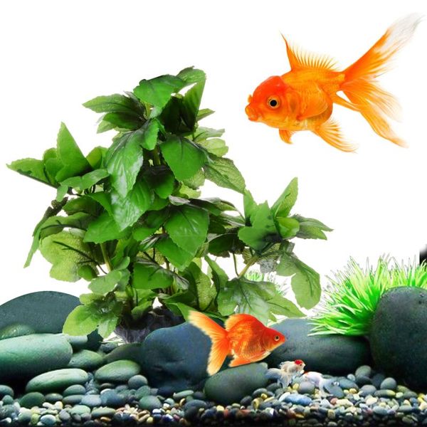 saim artificial aquarium plant decoration fish tank submersible flower grass ornament decor for 35cm high decorations
saim artificial aquarium plant decoration fish tank submersible flower grass ornament decor for 35cm high decorations