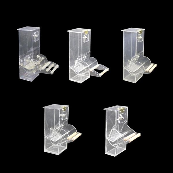 other bird supplies 1 pcs automatic feeders food ontainer for pigeons parrot starling pet birds feeding devices
other bird supplies 1 pcs automatic feeders food ontainer for pigeons parrot starling pet birds feeding devices