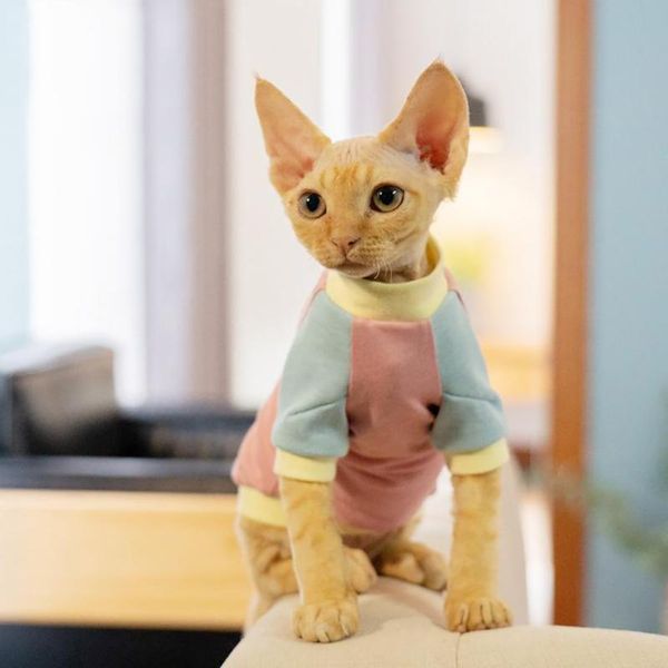 cat costumes sphynx sweater clothes breatheable vest fashion cozy jacket coat pet clothing outfit fairless sweatshirt for
cat costumes sphynx sweater clothes breatheable vest fashion cozy jacket coat pet clothing outfit fairless sweatshirt for