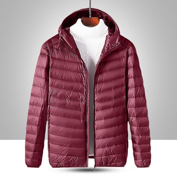 2021 autumn and winter new lightweight warm down et youth multicolor hooded coat korean fashion men's wear, Black
2021 autumn and winter new lightweight warm down et youth multicolor hooded coat korean fashion men's wear, Black