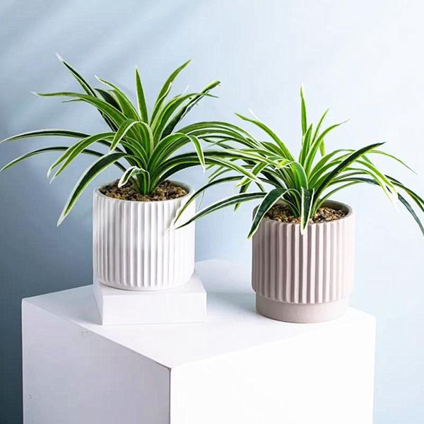 decorative flowers & wreaths 30-50 leaf artificial orchid grass bunch imitation plants wall plastic crafts fake chlorophytum balcony garden
decorative flowers & wreaths 30-50 leaf artificial orchid grass bunch imitation plants wall plastic crafts fake chlorophytum balcony garden