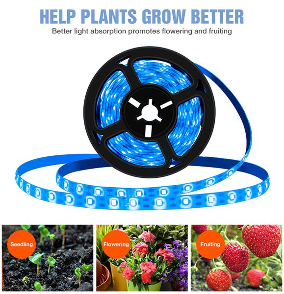 plant light full spectrum grow lights waterproof growing led strip usb indoor phyto lamp flower seedling greenhouse lighting
plant light full spectrum grow lights waterproof growing led strip usb indoor phyto lamp flower seedling greenhouse lighting