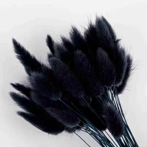 50pcs/lot black pampas rabbit tail grass artificial flowers for decoration flores plants home decor ta pampasowa wholesale
50pcs/lot black pampas rabbit tail grass artificial flowers for decoration flores plants home decor ta pampasowa wholesale