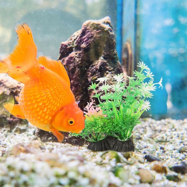 decorations 6pcs simulation aquarium ornaments fish tank underwater landscape
decorations 6pcs simulation aquarium ornaments fish tank underwater landscape