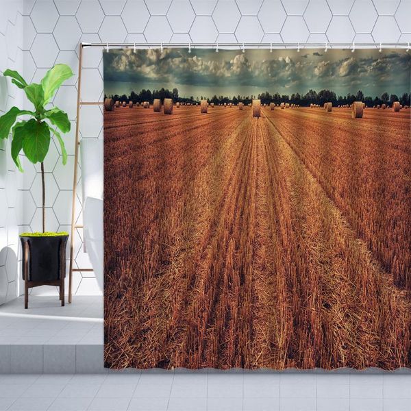 shower curtains autumn farm harvest curtain fall wheat field rural forest landscape printing home decor bathroom polyester sets
shower curtains autumn farm harvest curtain fall wheat field rural forest landscape printing home decor bathroom polyester sets