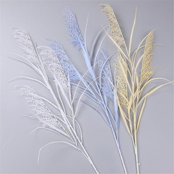 5pcs pampas grass artifical flowers natural plants home decoration flower bouquet po props party and wedding decorative & wreaths
5pcs pampas grass artifical flowers natural plants home decoration flower bouquet po props party and wedding decorative & wreaths