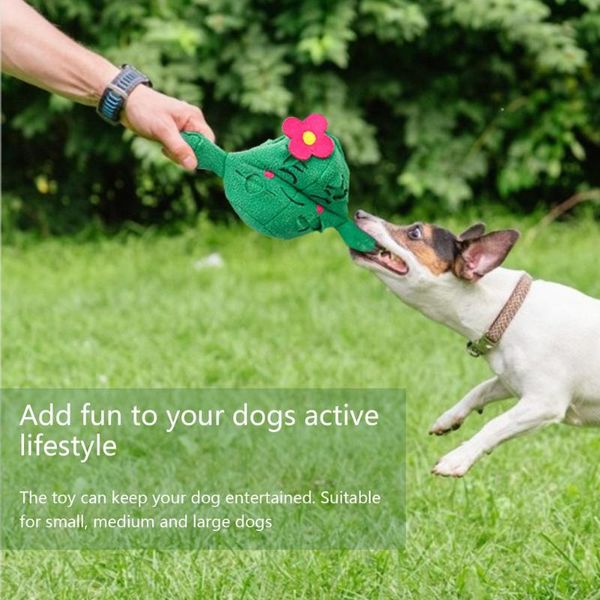dog car seat covers toys for small large dogs animal shape pet interactive cactus chew toy with ball puppy squeaky bite resistant pets
dog car seat covers toys for small large dogs animal shape pet interactive cactus chew toy with ball puppy squeaky bite resistant pets