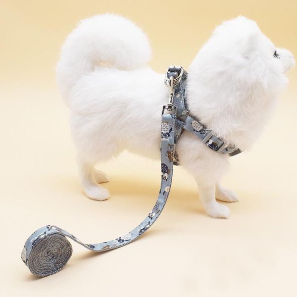 dog apparel small flower print flat rope pet traction and medium leash can adjust the size of
dog apparel small flower print flat rope pet traction and medium leash can adjust the size of