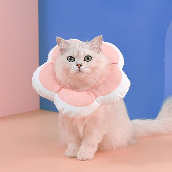 cat collars & leads pet supplies pp cotton filling collar adjustable neck flower shaped waterproof headcover
cat collars & leads pet supplies pp cotton filling collar adjustable neck flower shaped waterproof headcover