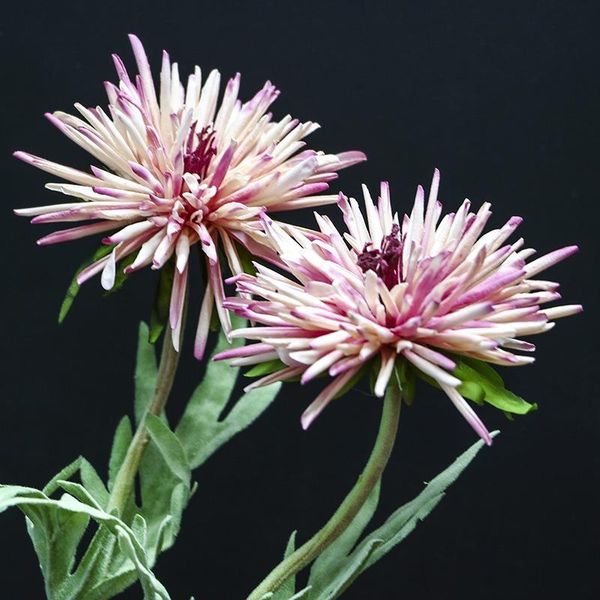 decorative flowers & wreaths multi-color single-head crab claw silk venue plant batch
decorative flowers & wreaths multi-color single-head crab claw silk venue plant batch