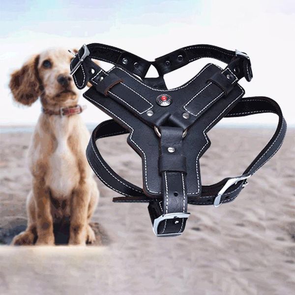 real leather service dog harness vest training working harnesses for german shepherd labrador husky medium large big dogs collars & leashes
real leather service dog harness vest training working harnesses for german shepherd labrador husky medium large big dogs collars & leashes