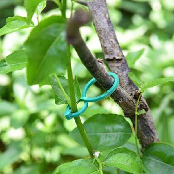 planters & pots 50/100 pcs plant support garden clips trellis for vine vegetable tomato to grow upright stand tool
planters & pots 50/100 pcs plant support garden clips trellis for vine vegetable tomato to grow upright stand tool