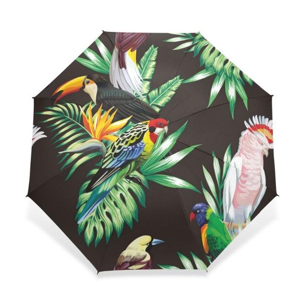 umbrellas three folding tropical coconut rain umbrella animal parrots automatic children green leaf parakeet women gear
umbrellas three folding tropical coconut rain umbrella animal parrots automatic children green leaf parakeet women gear
