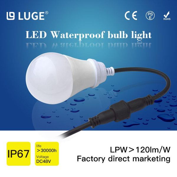 bulbs special led light bulb for breeding farm intensity adjustable waterproof lamp layer poultry house
bulbs special led light bulb for breeding farm intensity adjustable waterproof lamp layer poultry house