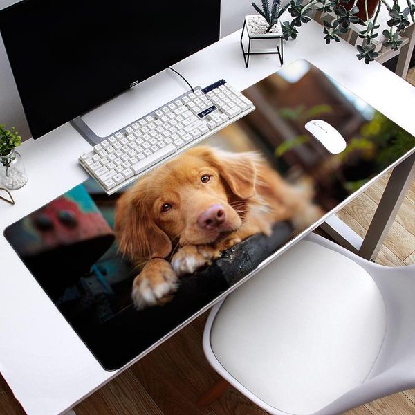 mouse pads & wrist rests large size(300x600mm/400x900mm ) animal design gaming mousepad,non slip pad for gamer
mouse pads & wrist rests large size(300x600mm/400x900mm ) animal design gaming mousepad,non slip pad for gamer