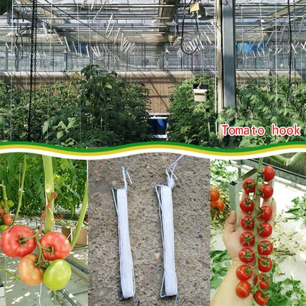 planters & pots 10m vegetables tomato hook plant growth traction rope clamp anti-crush hooks support j vine vegetable planting supplies
planters & pots 10m vegetables tomato hook plant growth traction rope clamp anti-crush hooks support j vine vegetable planting supplies