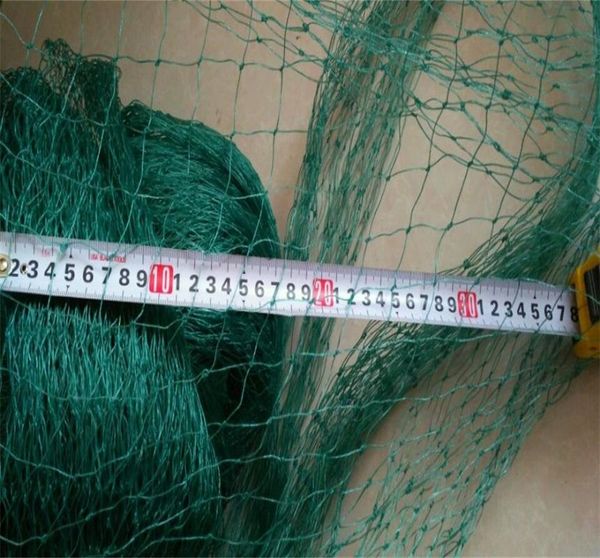 fencing, trellis & gates 5m green garden fence mesh plant vines climbing net decoration gardening bird plastic
fencing, trellis & gates 5m green garden fence mesh plant vines climbing net decoration gardening bird plastic