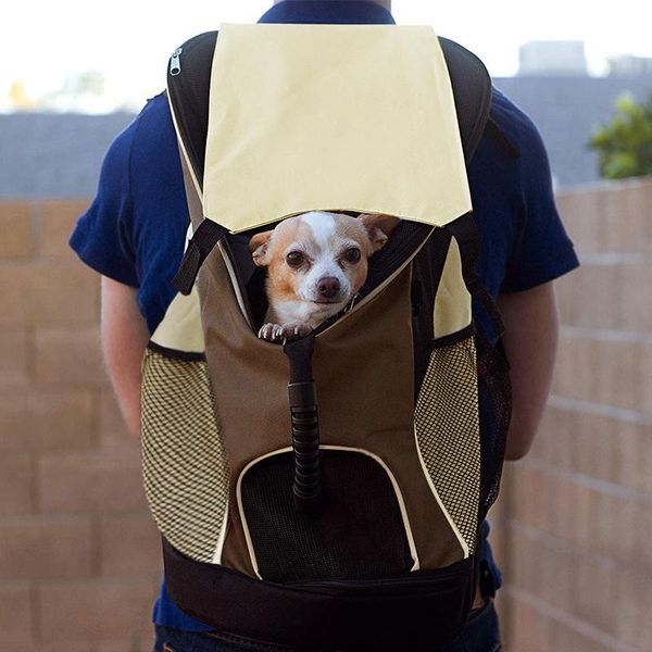 dog car seat covers large backpack pet carrier for dogs cat outdoor travel portable zipper mesh double shoulder
dog car seat covers large backpack pet carrier for dogs cat outdoor travel portable zipper mesh double shoulder