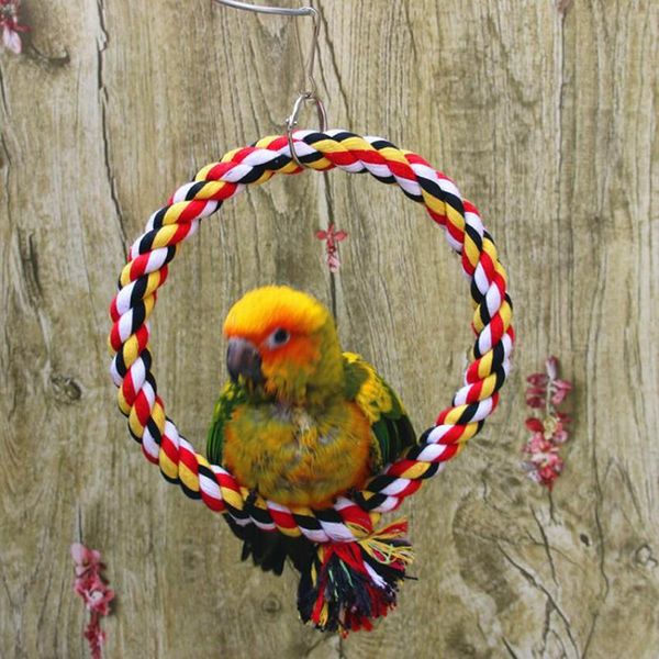 other bird supplies novelty toy parrot rings toys round circle climbing funny pet products rope swing
other bird supplies novelty toy parrot rings toys round circle climbing funny pet products rope swing