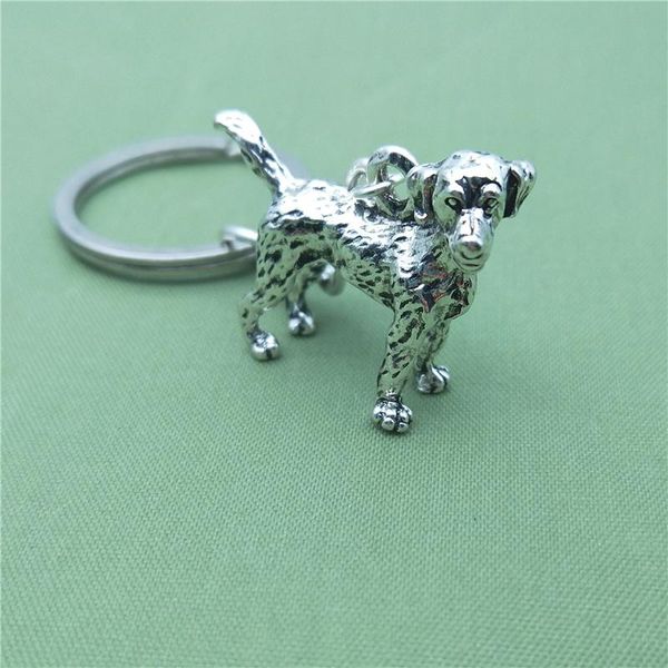 keychains vintage 3d labrador retriever key chains fashion pet dog jewellery car keychain bag keyring for women men, Silver
keychains vintage 3d labrador retriever key chains fashion pet dog jewellery car keychain bag keyring for women men, Silver