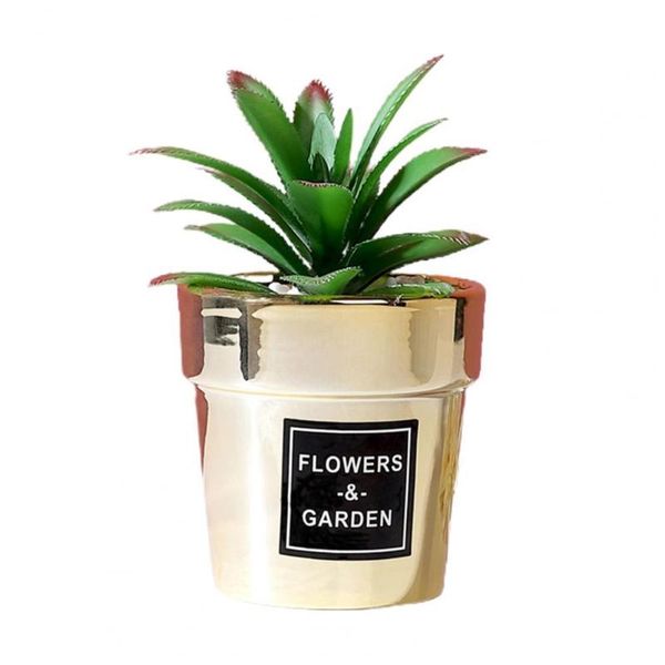 simulation potted plant cute deskdecoration small nordic gold-plated artificial succulent bonsai for office decorative flowers & wreaths
simulation potted plant cute deskdecoration small nordic gold-plated artificial succulent bonsai for office decorative flowers & wreaths