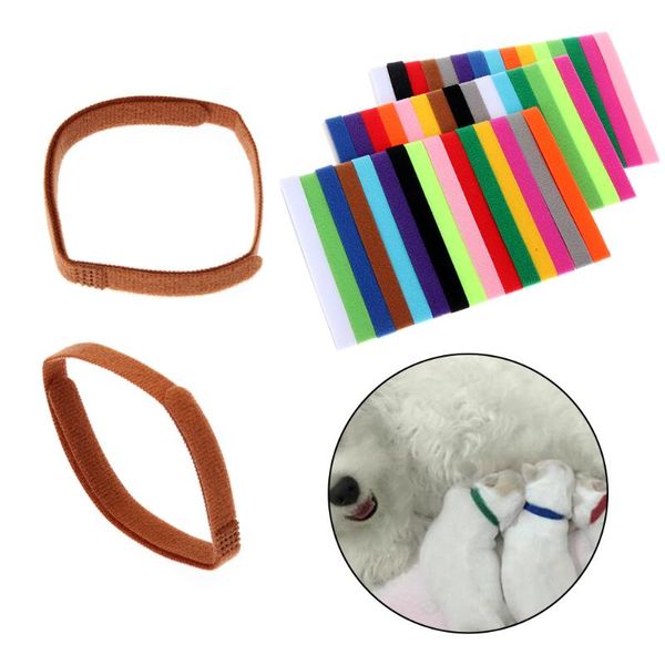 identification id collars whelp kitten dog cat velvet practical nylon reusable puppy collar pet supplies & leads
identification id collars whelp kitten dog cat velvet practical nylon reusable puppy collar pet supplies & leads