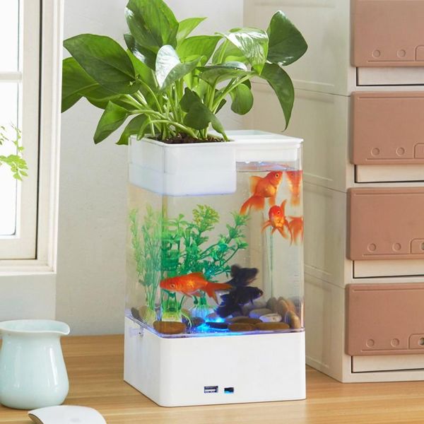 aquariums multicolour fish tank with led light + usb mini small acrylic plastic aquarium office desk transparent bowl originality
aquariums multicolour fish tank with led light + usb mini small acrylic plastic aquarium office desk transparent bowl originality