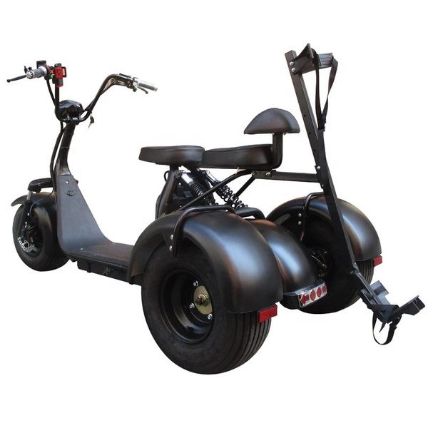 city escooter 3wheel golf cart eec coc approved electric cargo tricycle citycoco golf bag cart trike motorcycle electric scooter
city escooter 3wheel golf cart eec coc approved electric cargo tricycle citycoco golf bag cart trike motorcycle electric scooter