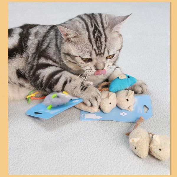 cat toys 3pcs cute plush simulation mouse interactive catnip scratch bite resistance toy mice funny playing for kitten
cat toys 3pcs cute plush simulation mouse interactive catnip scratch bite resistance toy mice funny playing for kitten