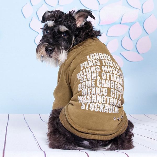 boutique pet dog cloth autumn winter korean t-shirt bodysuit teddy warm hip hop bodysuit
boutique pet dog cloth autumn winter korean t-shirt bodysuit teddy warm hip hop bodysuit