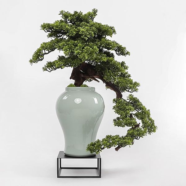 79cm chinese style creative ceramics welcome pine bonsai imitation plants decorative flowers & wreaths
79cm chinese style creative ceramics welcome pine bonsai imitation plants decorative flowers & wreaths