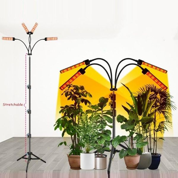 grow lights led plant light full spectrum phytolamp with tripod control for plants seedlings flower indoor fitolamp box us/eu plug
grow lights led plant light full spectrum phytolamp with tripod control for plants seedlings flower indoor fitolamp box us/eu plug
