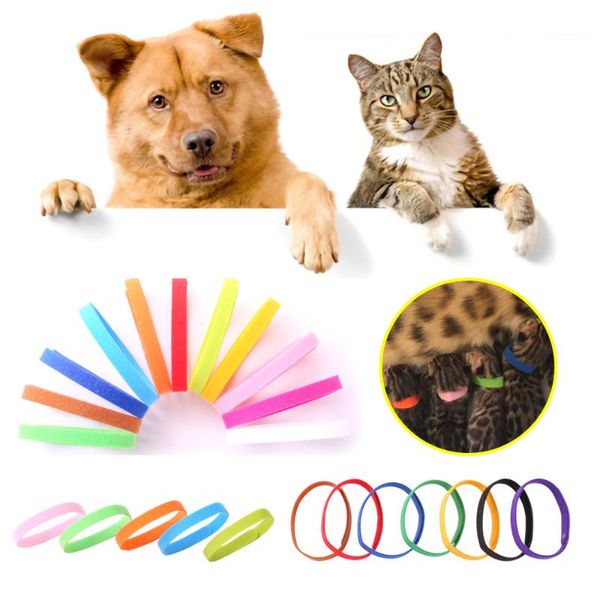 dog collars & leashes 15 colors identification id bands whelp puppy kitten pet cat velvet practical collar dropship
dog collars & leashes 15 colors identification id bands whelp puppy kitten pet cat velvet practical collar dropship